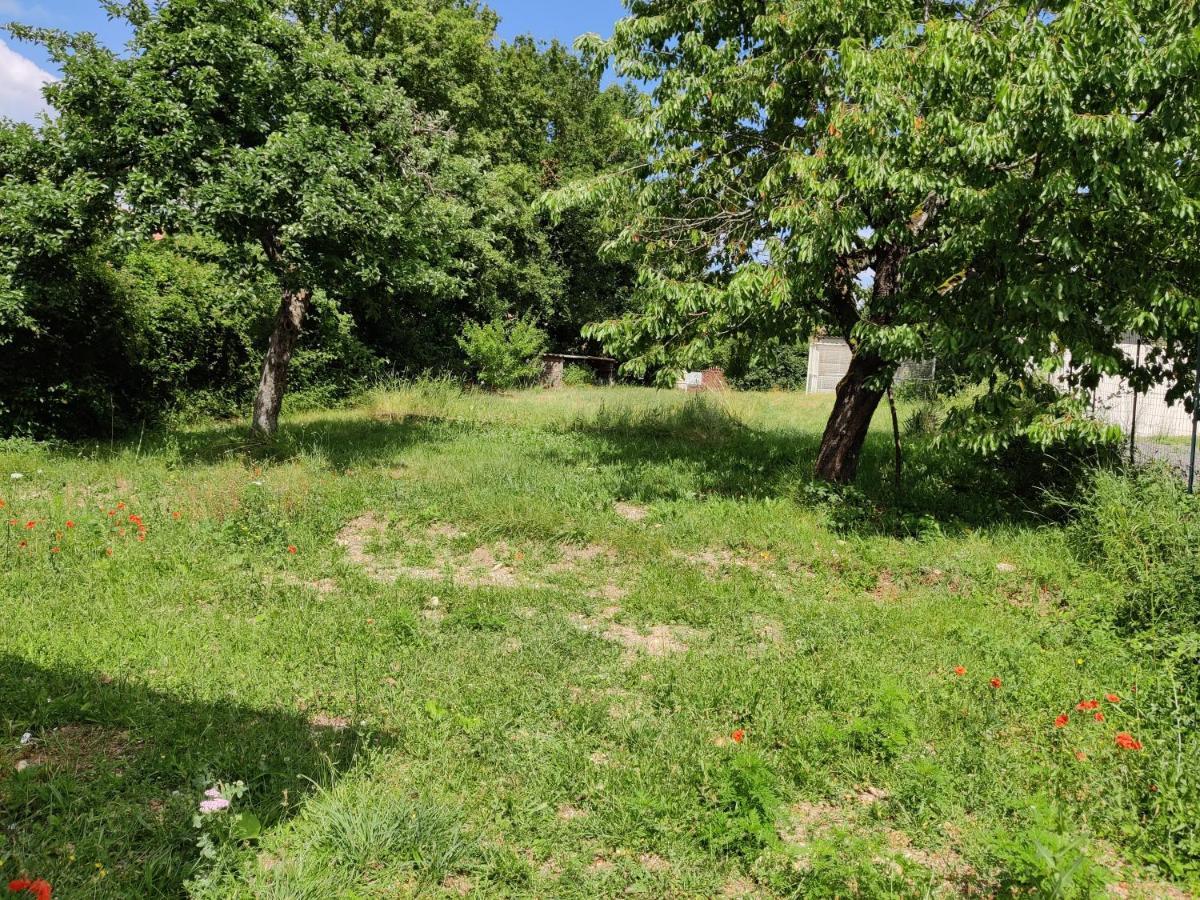Studio Spacieux Tout Equipe Avec Jardin Varennes-Vauzelles Zewnętrze zdjęcie
